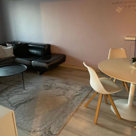 Superbe Appartement Avec Place De Parking Gratuit สตราสบูร์ก ภายนอก รูปภาพ